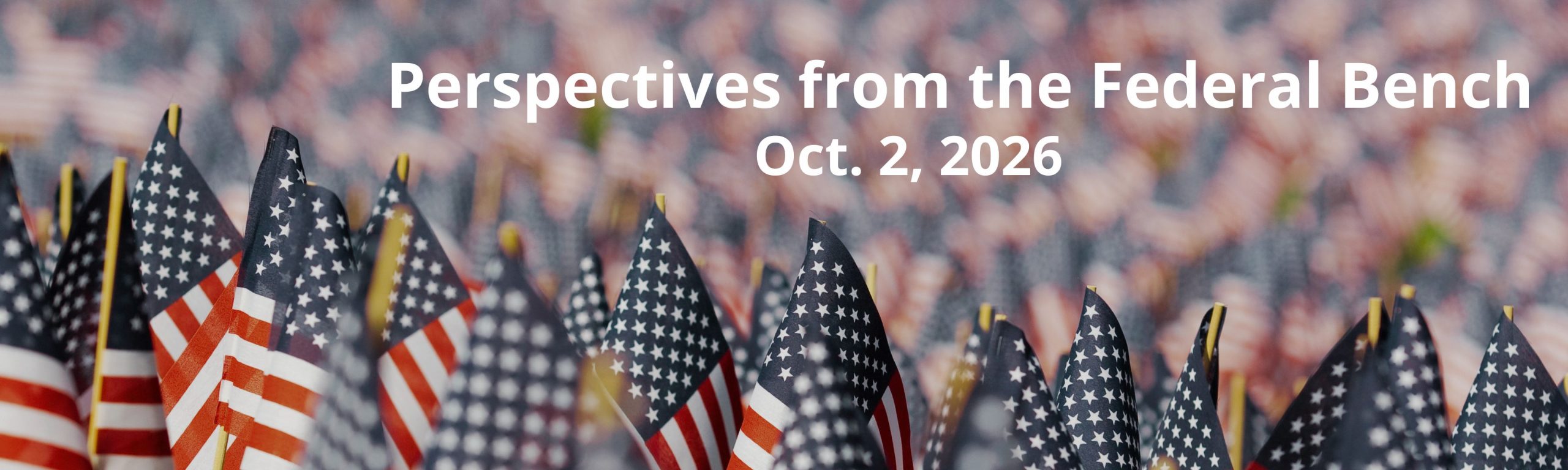 Perspectives from the Federal Bench
